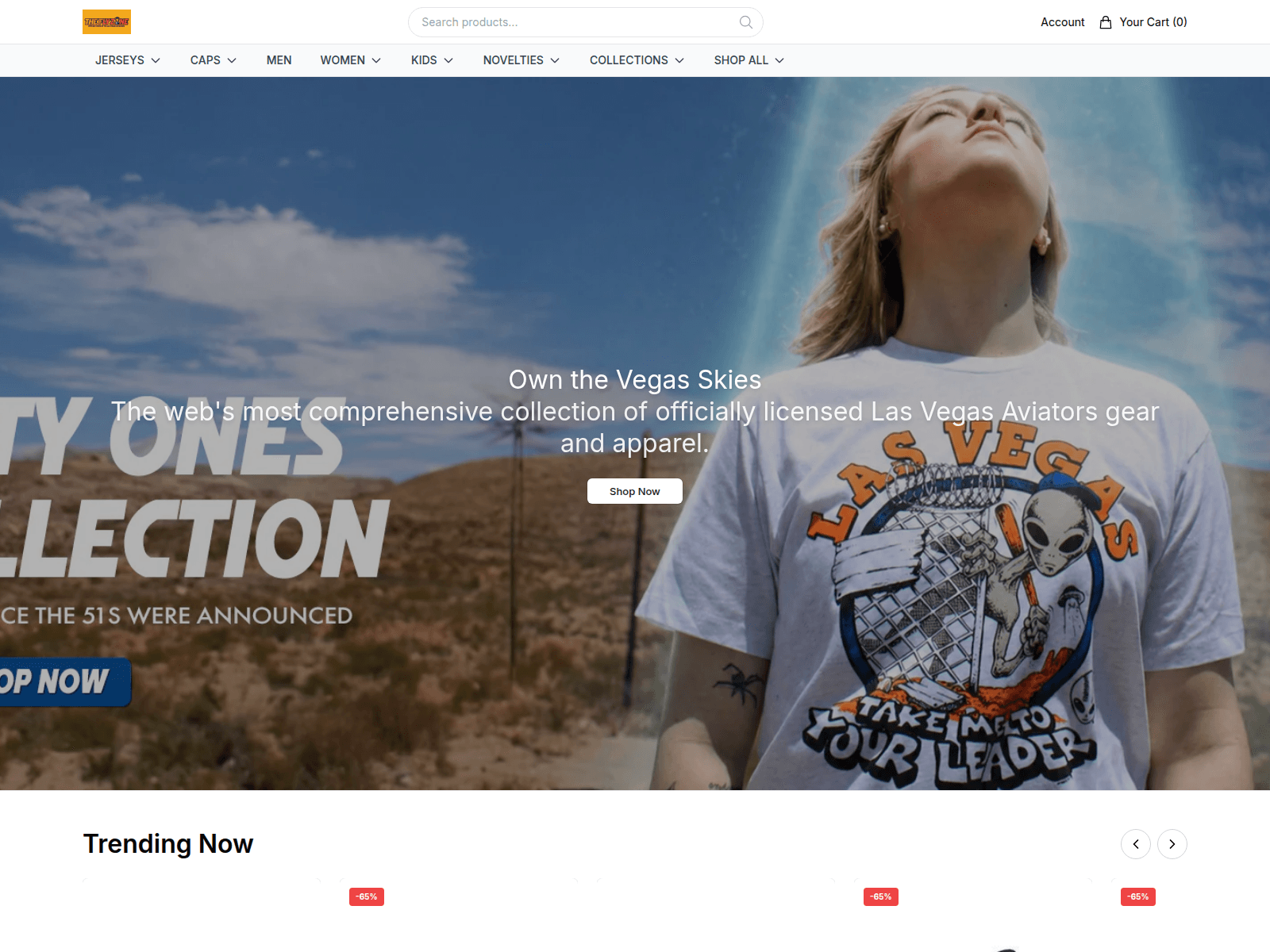 Screenshot of aviatorsstore.shop