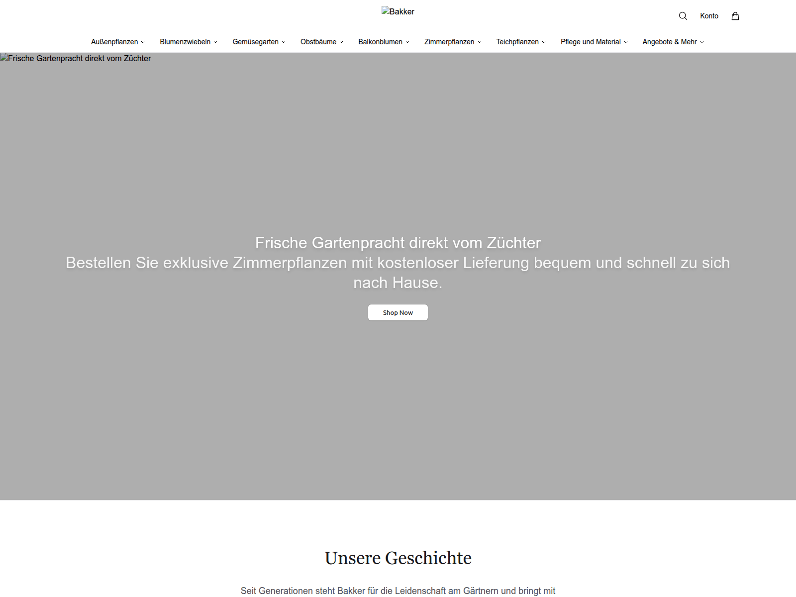 Screenshot of bkker.shop
