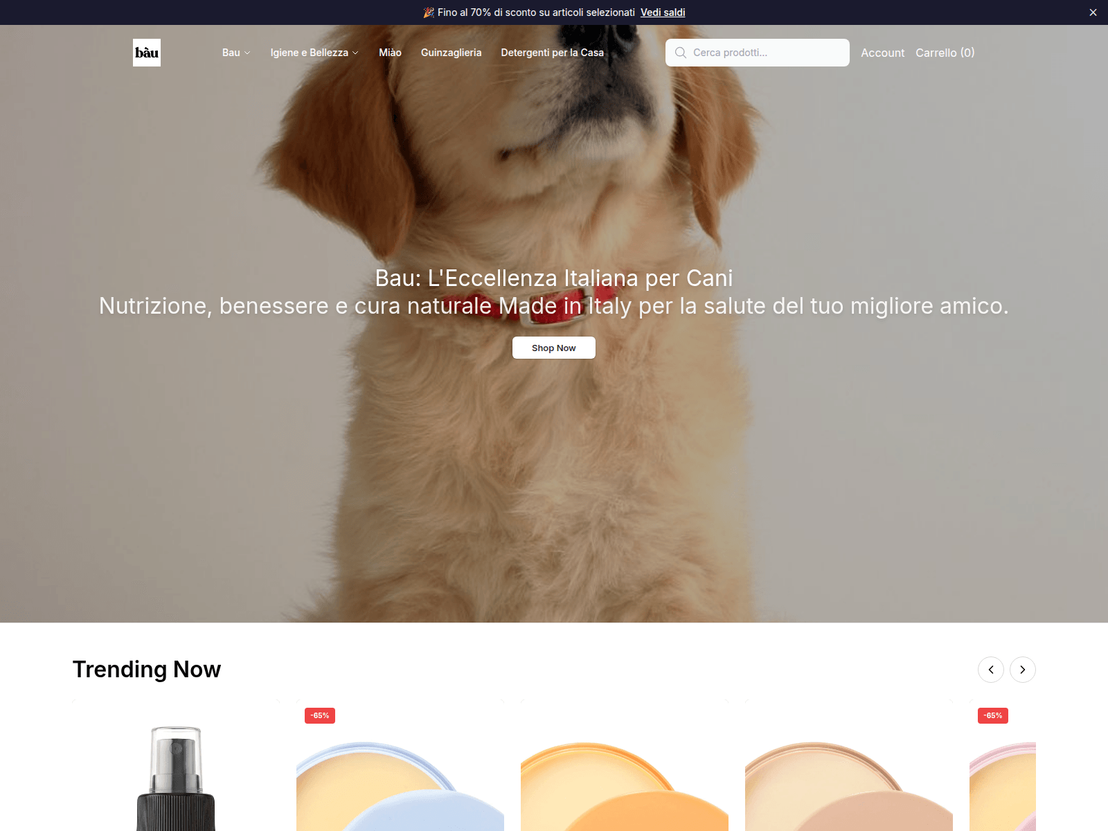 Screenshot of baucosmesihq.shop