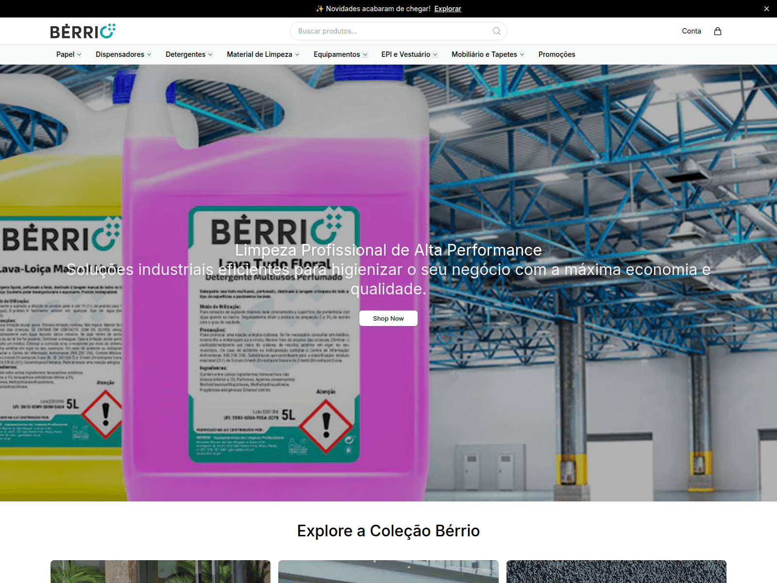 Screenshot of berriostudio.shop