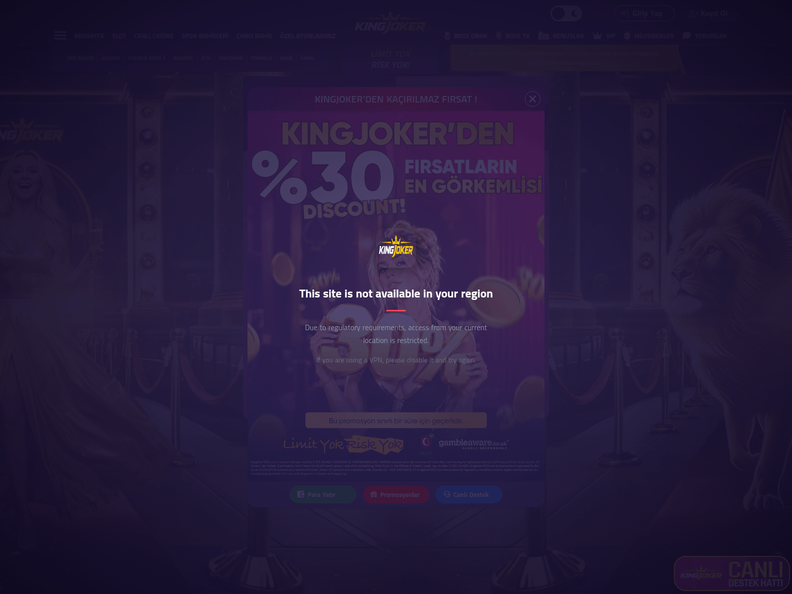 Capture d’écran de kingjoker1100.com