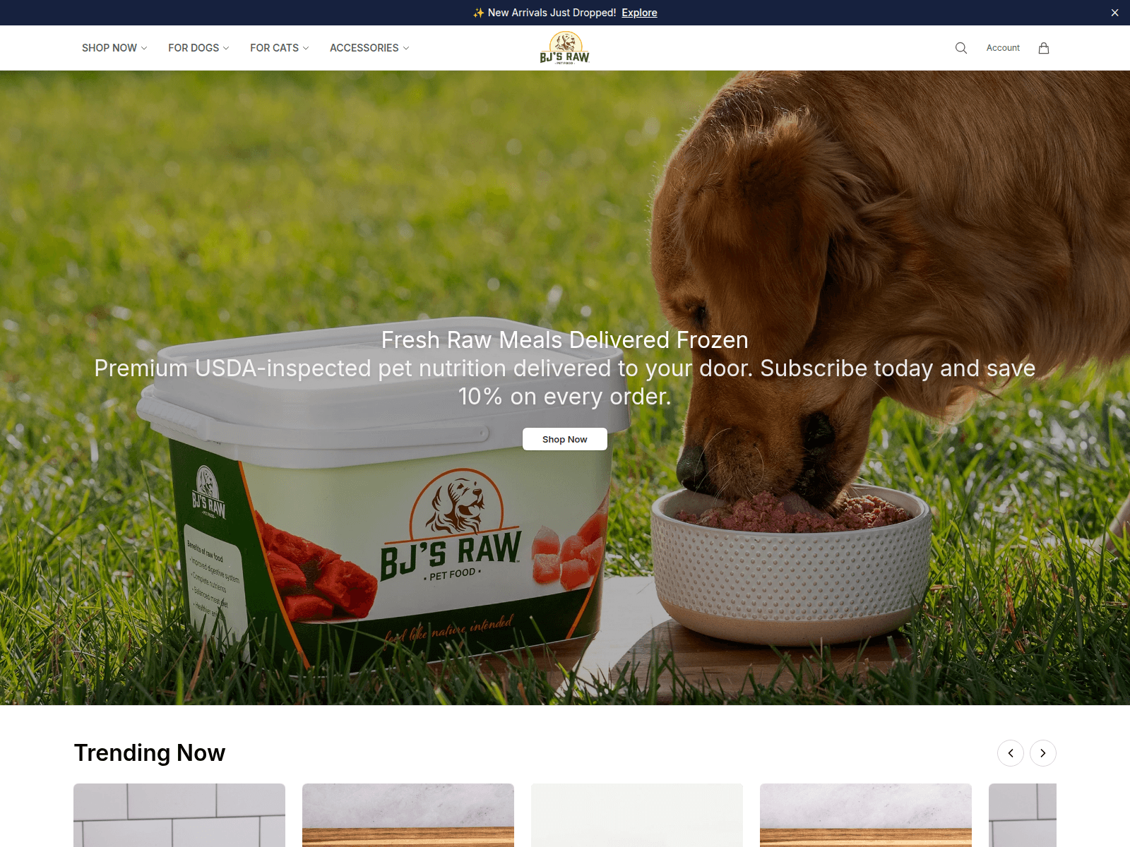Снимок экрана bjsrawpetfooddirect.shop