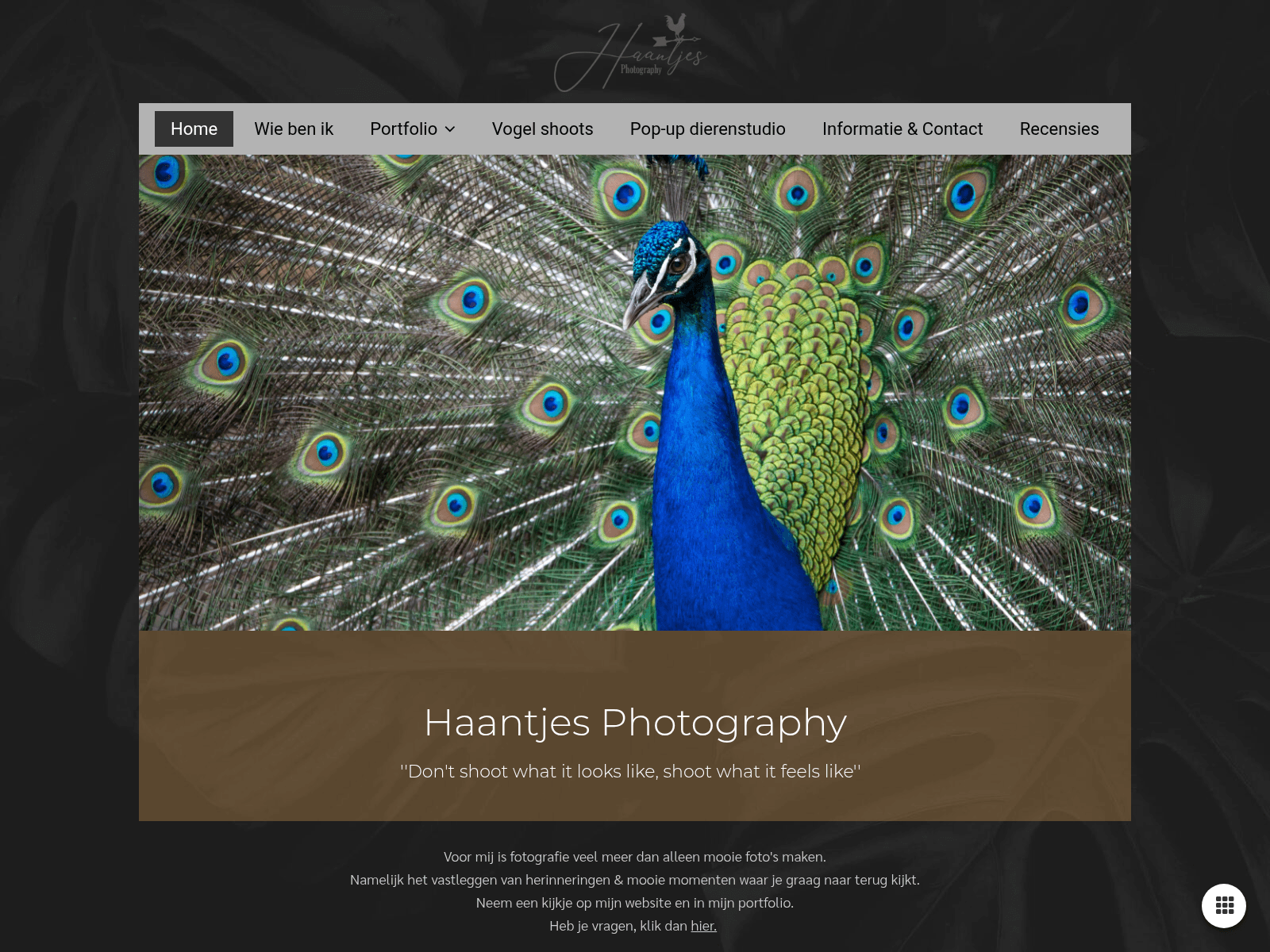 Screenshot of haantjesphotography.nl