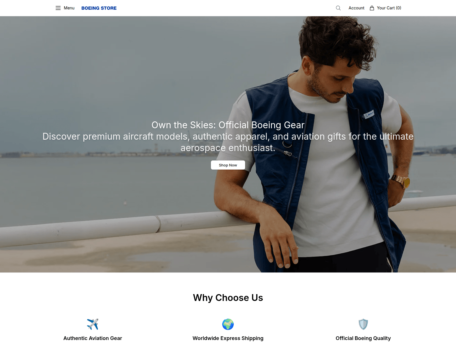 Screenshot of boeingstoremerch.shop