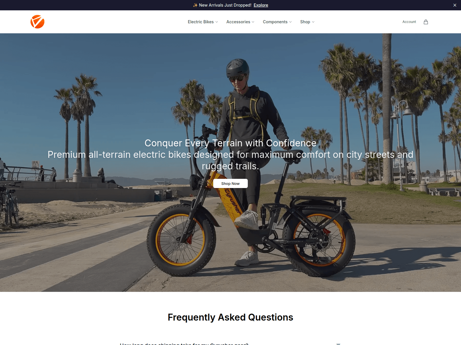 Screenshot of boltcy.shop