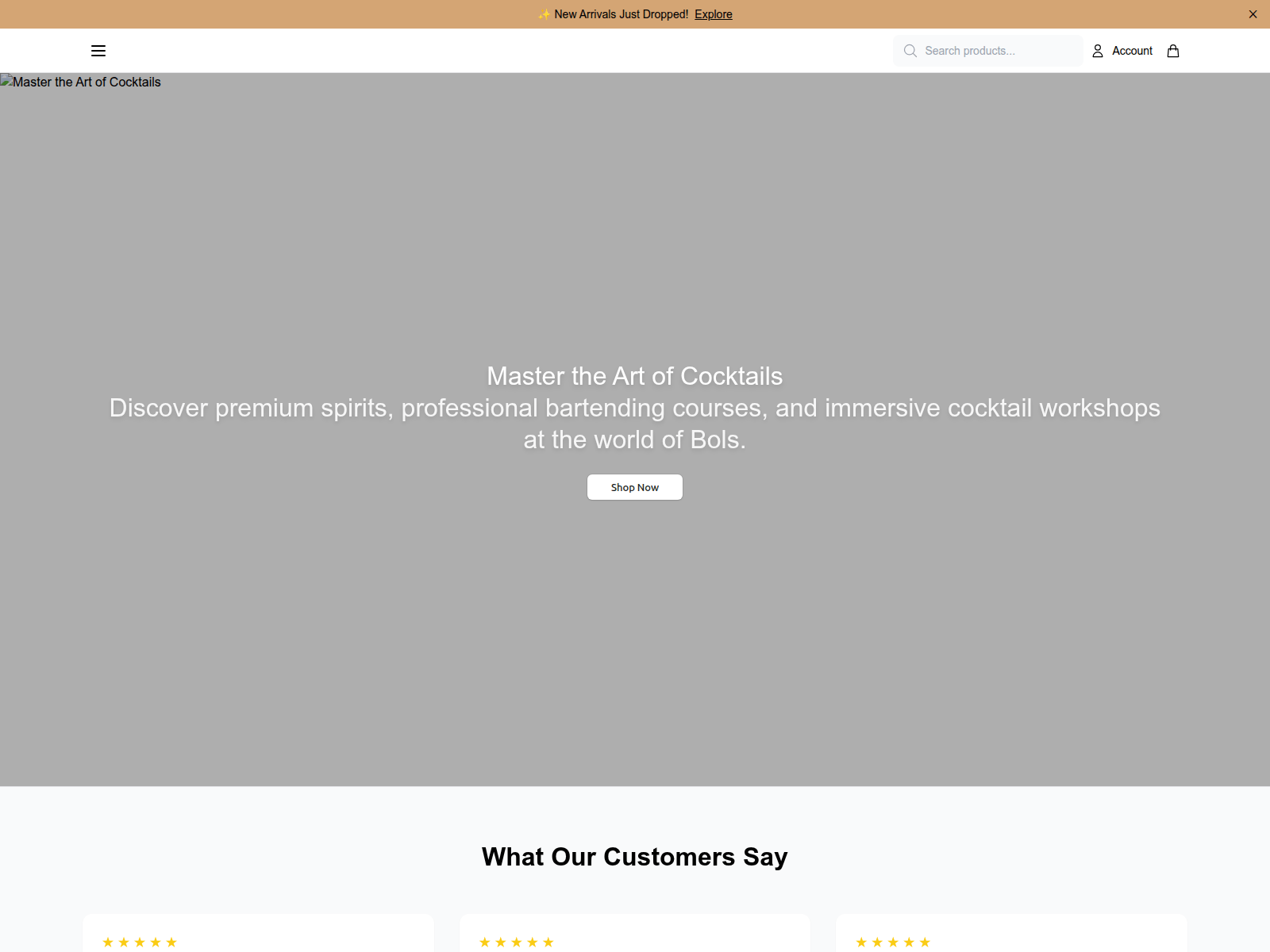 Screenshot of bolsdirect.shop