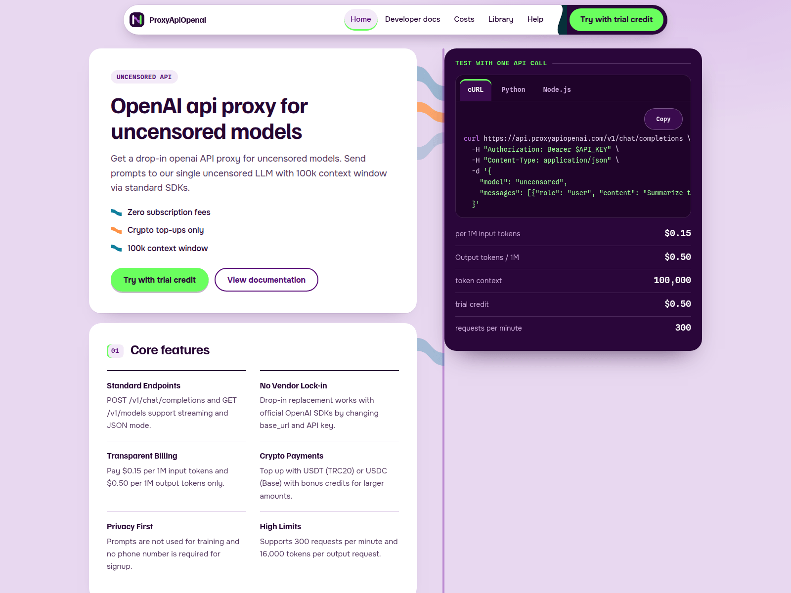 Stored capture of proxyapiopenai.com
